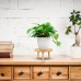 Dwellnix Wooden Flower Pot Stand – Durable and Stylish Plant Holder for Indoor and Outdoor Use