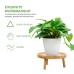 Dwellnix Wooden Flower Pot Stand – Durable and Stylish Plant Holder for Indoor and Outdoor Use