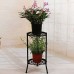 Dwellnix Two-Layer Metal Plant Stand – Sturdy and Decorative Holder for Flower Pots, Indoor & Outdoor